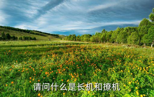 長機，飛機的長機和僚機有什么區(qū)別分別有哪些作用