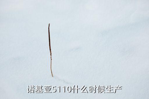諾基亞5110什么時(shí)候生產(chǎn)