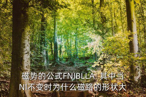 磁力矩公式，電磁力距是什么有什么用特點(diǎn)如何求得公式