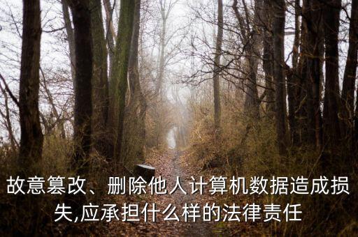 故意篡改、刪除他人計算機(jī)數(shù)據(jù)造成損失,應(yīng)承擔(dān)什么樣的法律責(zé)任