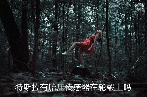 特斯拉有胎壓傳感器在輪轂上嗎