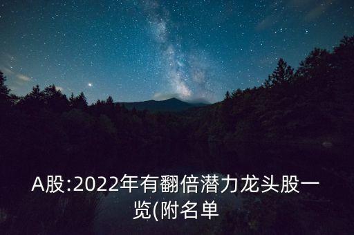 A股:2022年有翻倍潛力龍頭股一覽(附名單
