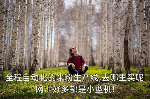 全程自動化的米粉生產(chǎn)線,去哪里買呢網(wǎng)上好多都是小型機!