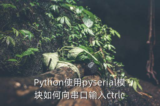 Python使用pyserial模塊如何向串口輸入ctrlc