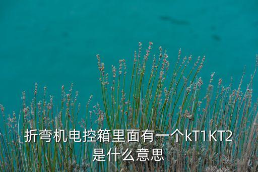 折彎機(jī)電控箱里面有一個(gè)kT1KT2是什么意思