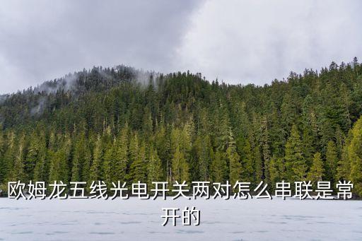 歐姆龍五線光電開關兩對怎么串聯是常開的