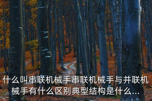 什么叫串聯(lián)機(jī)械手串聯(lián)機(jī)械手與并聯(lián)機(jī)械手有什么區(qū)別典型結(jié)構(gòu)是什么...