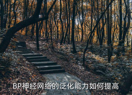 BP神經(jīng)網(wǎng)絡(luò)的泛化能力如何提高