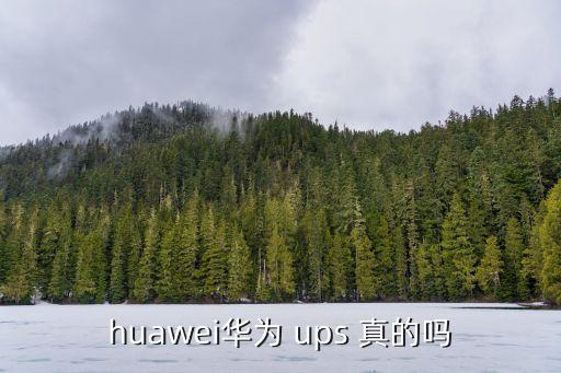 huawei華為 ups 真的嗎