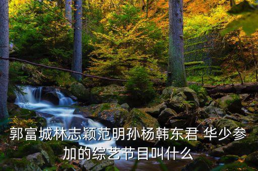 郭富城林志穎范明孫楊韓東君 華少參加的綜藝節(jié)目叫什么