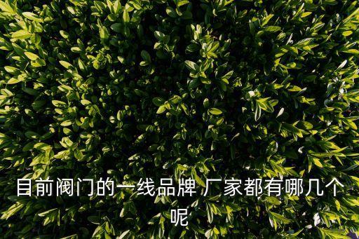 目前閥門的一線品牌 廠家都有哪幾個呢
