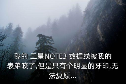 我的 三星NOTE3 數(shù)據(jù)線被我的表弟咬了,但是只有個明顯的牙印,無法復原...