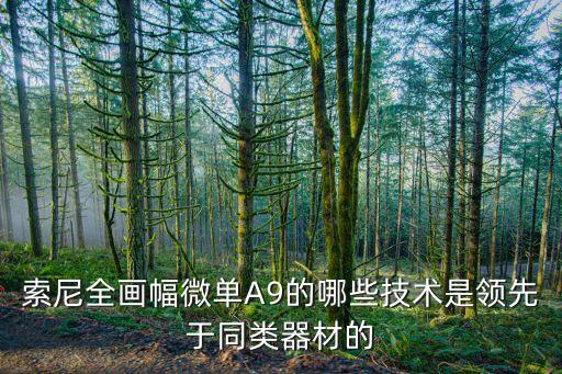索尼全畫幅微單A9的哪些技術(shù)是領(lǐng)先于同類器材的
