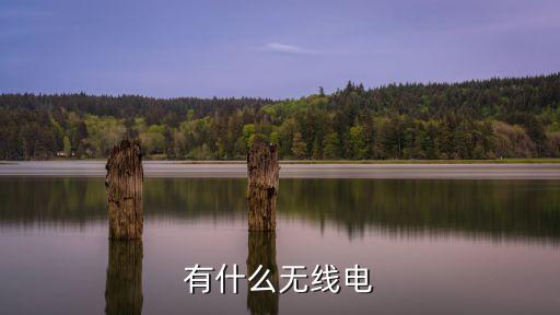有什么無線電