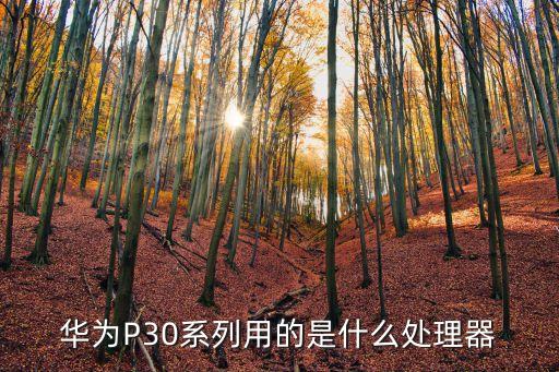 華為p30參數(shù)，華為p30 的最低內(nèi)存配置是多少