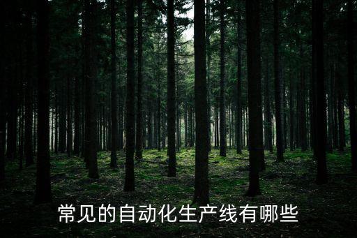 常見的自動化生產(chǎn)線有哪些