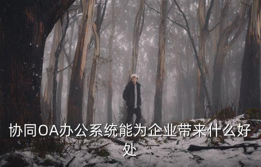 協(xié)同OA辦公系統(tǒng)能為企業(yè)帶來什么好處