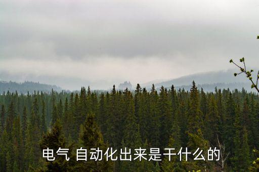  電氣 自動(dòng)化出來(lái)是干什么的