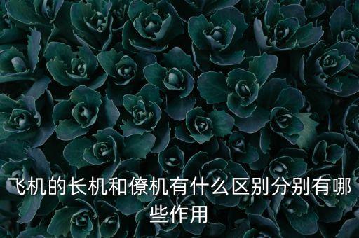 飛機(jī)的長機(jī)和僚機(jī)有什么區(qū)別分別有哪些作用
