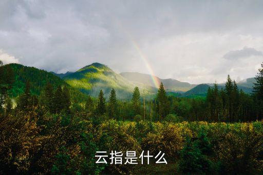 什么是云，云指是什么