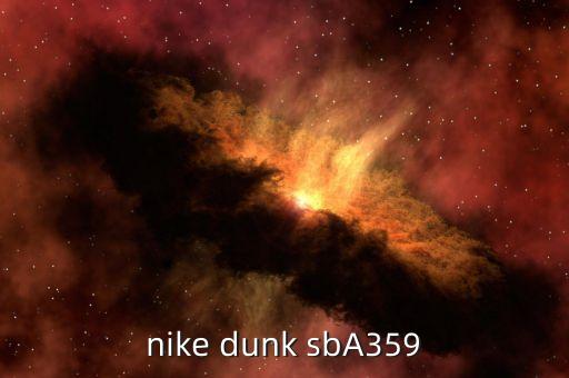 nike dunk sbA359