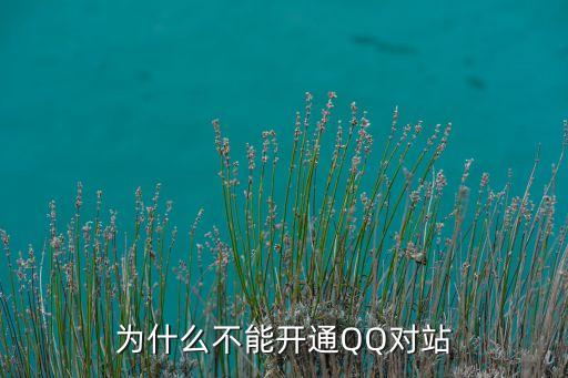 為什么不能開(kāi)通QQ對(duì)站