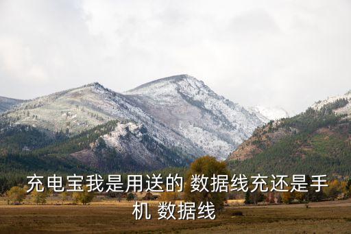  充電寶我是用送的 數(shù)據(jù)線充還是手機(jī) 數(shù)據(jù)線