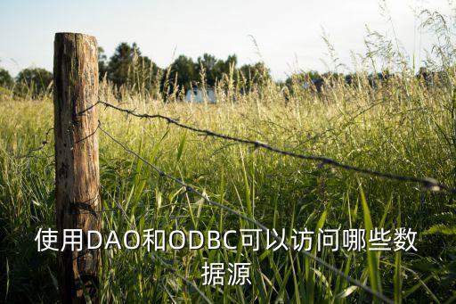 使用DAO和ODBC可以訪問哪些數(shù)據(jù)源