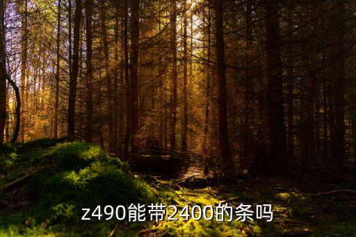 z490能帶2400的條嗎
