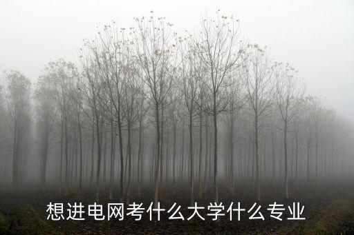 電氣工程自動(dòng)化校招