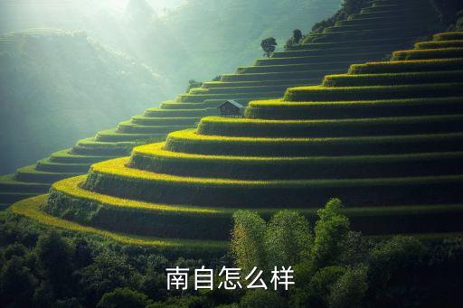 南自怎么樣