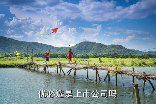 優(yōu)必選教育，深圳優(yōu)必選科技有限公司的實(shí)力怎么樣