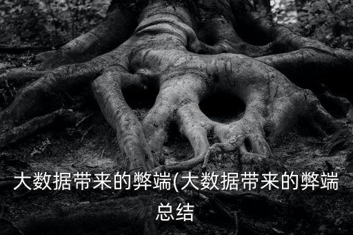 大數(shù)據(jù)帶來的弊端(大數(shù)據(jù)帶來的弊端總結