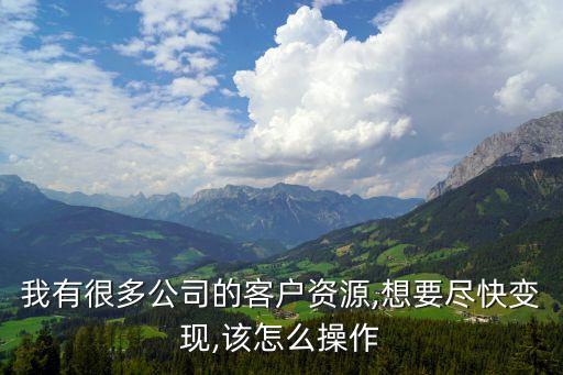 我有很多公司的客戶資源,想要盡快變現(xiàn),該怎么操作