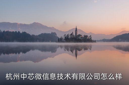 杭州中芯微信息技術(shù)有限公司怎么樣