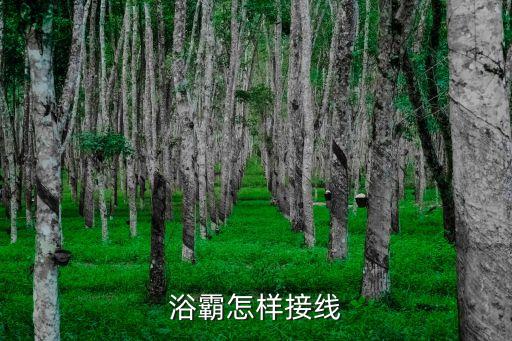 浴霸怎樣接線