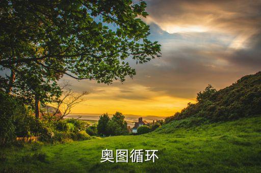 奧托循環(huán)，奧圖循環(huán)