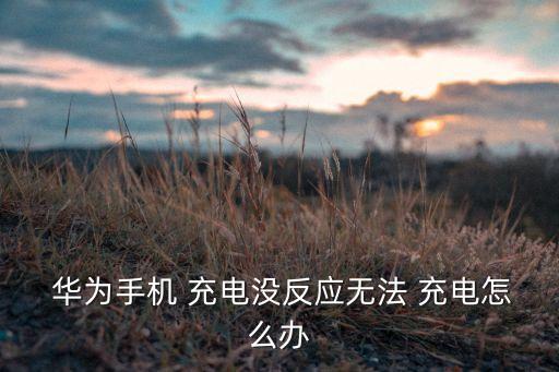 華為m7數(shù)據(jù)線不能充電,華為typec數(shù)據(jù)線可以給蘋果充電嗎