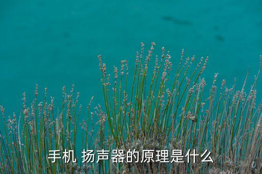 揚(yáng)聲器的原理,手機(jī)揚(yáng)聲器的工作原理