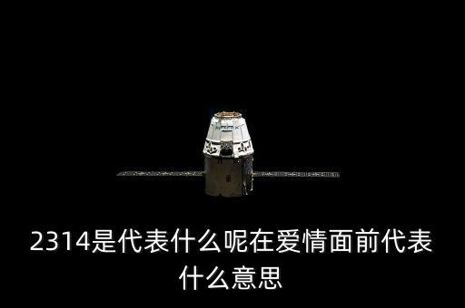 2314是代表什么呢在愛情面前代表什么意思