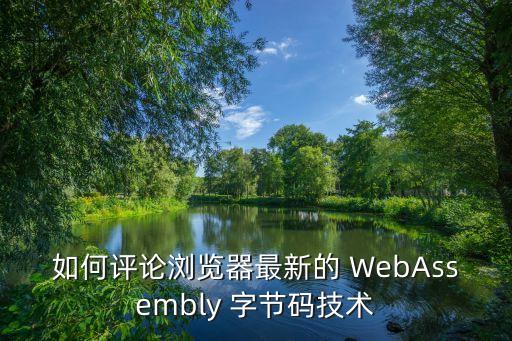 如何評論瀏覽器最新的 WebAssembly 字節(jié)碼技術(shù)