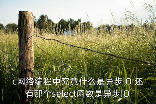 c網(wǎng)絡編程中究竟什么是異步IO 還有那個select函數(shù)是異步IO