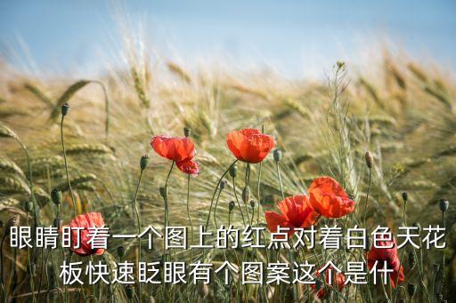 眼睛盯著一個圖上的紅點對著白色天花板快速眨眼有個圖案這個是什