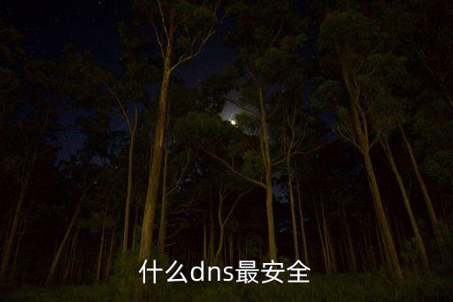 什么dns最安全