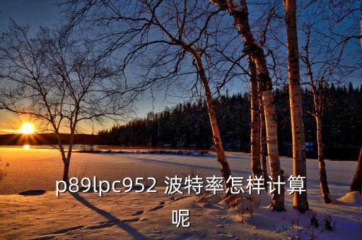 p89lpc952 波特率怎樣計算呢