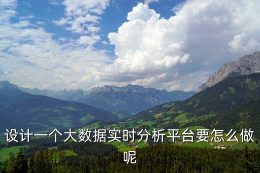 設計一個大數(shù)據(jù)實時分析平臺要怎么做呢