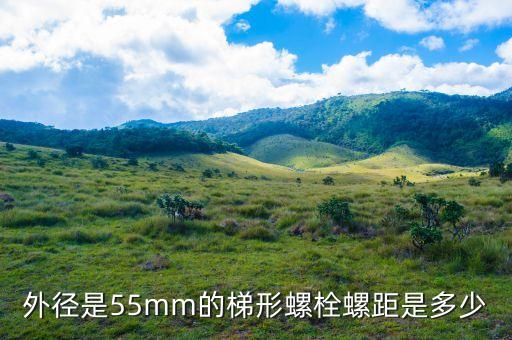 外徑是55mm的梯形螺栓螺距是多少
