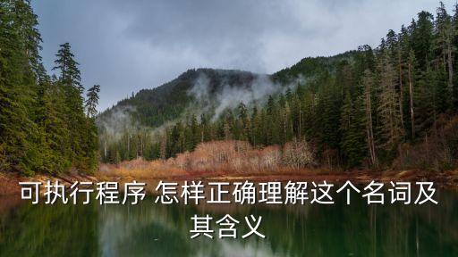 可執(zhí)行程序 怎樣正確理解這個(gè)名詞及其含義