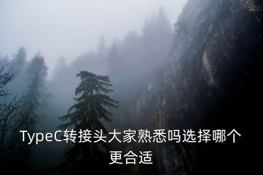 TypeC轉接頭大家熟悉嗎選擇哪個更合適