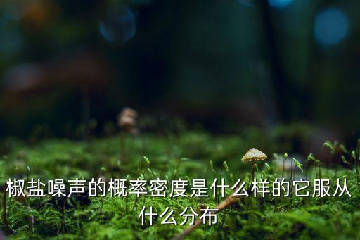 椒鹽噪聲，椒鹽噪聲的介紹